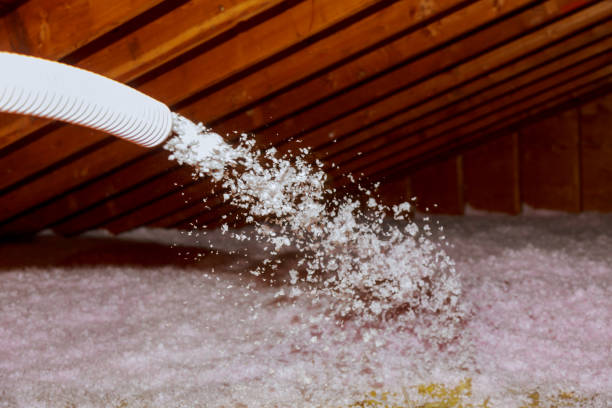 Range of Insulation Solutions in Roy, UT
