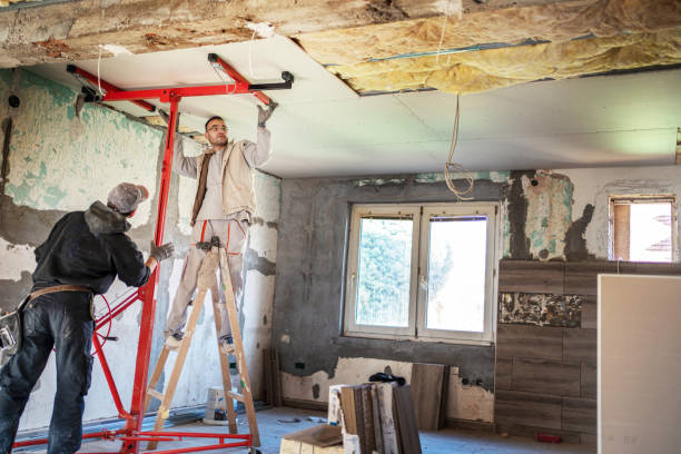 Best Insulation Replacement Services  in Roy, UT