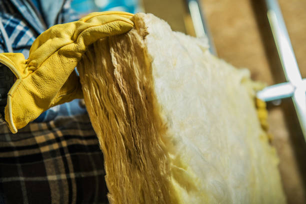 Best Insulation Replacement Services  in Roy, UT
