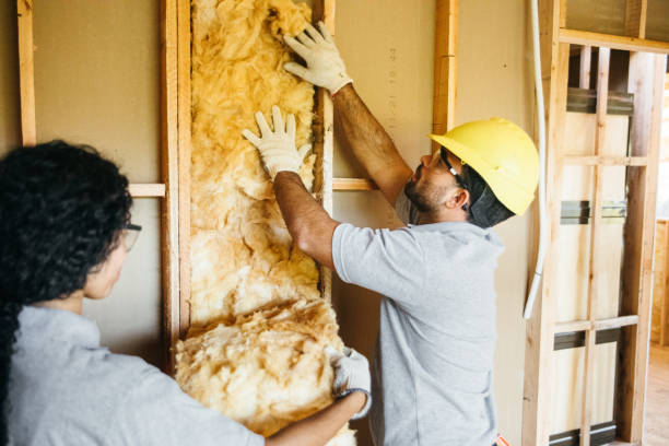 Best Blown-in Insulation  in Roy, UT