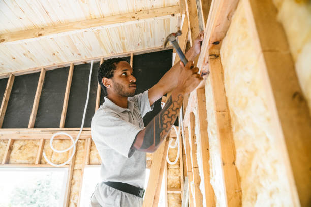 Best Local Insulation Services  in Roy, UT