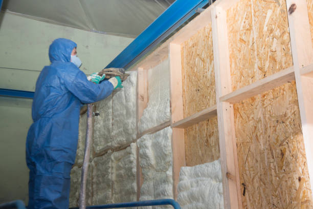 Best Insulation Contractor Near Me  in Roy, UT